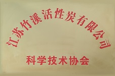 江蘇竹溪活性炭有限公司科學技術協會成立